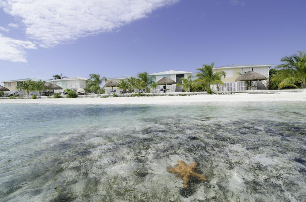Shaka Caye All Inclusive Resort Kota Belize Bagian luar foto